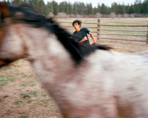 forestgreenlesbian:Colville: Following the lives of jockeys on the Colville Indian Reservation, this