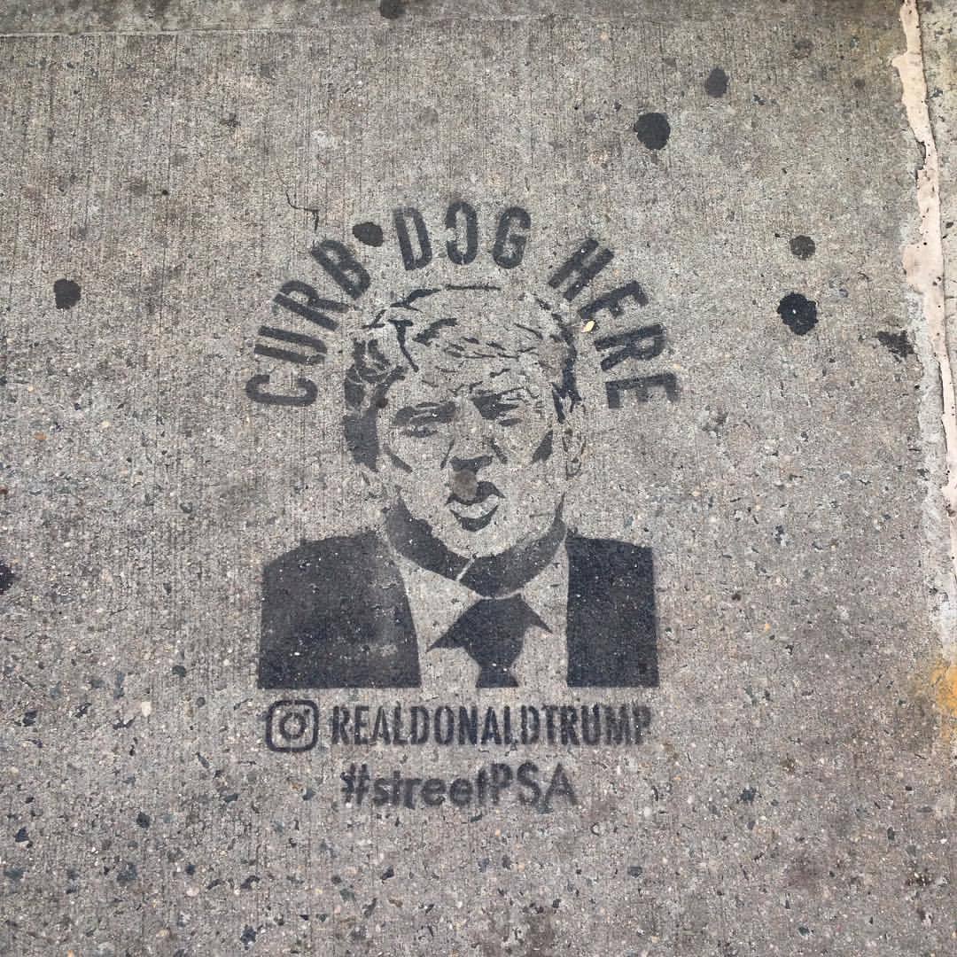 CAN I BORROW YOUR DOG :: BROOKLYN :: FEB 2018 #graffiti #streetart #tags #throws #tagsandthrows #iphonography #welovebombing #vandal #art #love #bombing #streetpsa @realdonaldtrump #curbyourdog #williamsburg #brooklyn #brooklyngraffiti #nycgraffiti