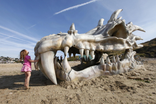 modmad:popculturebrain:Massive dragon skull on UK beach actually a ‘Game of Thrones’ promotion | Met