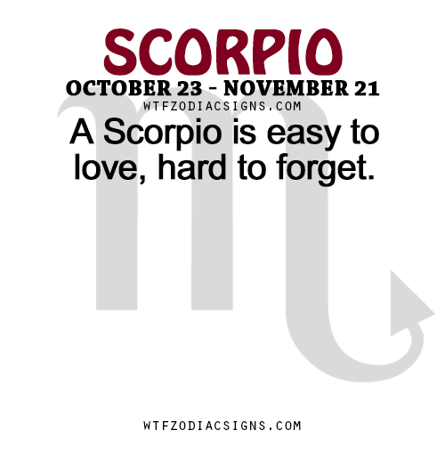 wtfzodiacsigns:  A Scorpio is easy to love, hard to forget.   - WTF Zodiac Signs Daily Horoscope!  