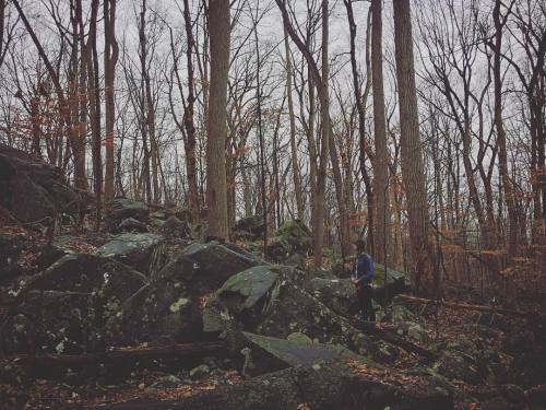 Prospecting and rock hounding #riverfolk #walkinginthewoods