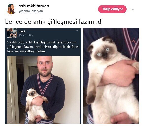 bence de artık çiftleşmesi lazım