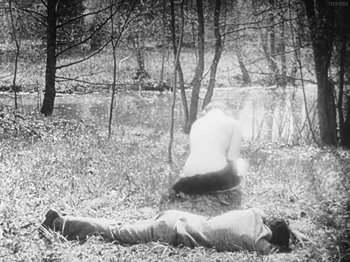 amused-itself-to-death.tumblr.com/post/173101901019/
