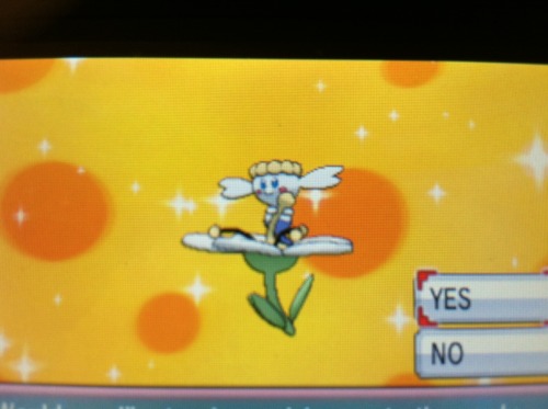 Last night I hatched a shiny flabébé, now she is fully evolved, and a beauty contest winner! Slay th