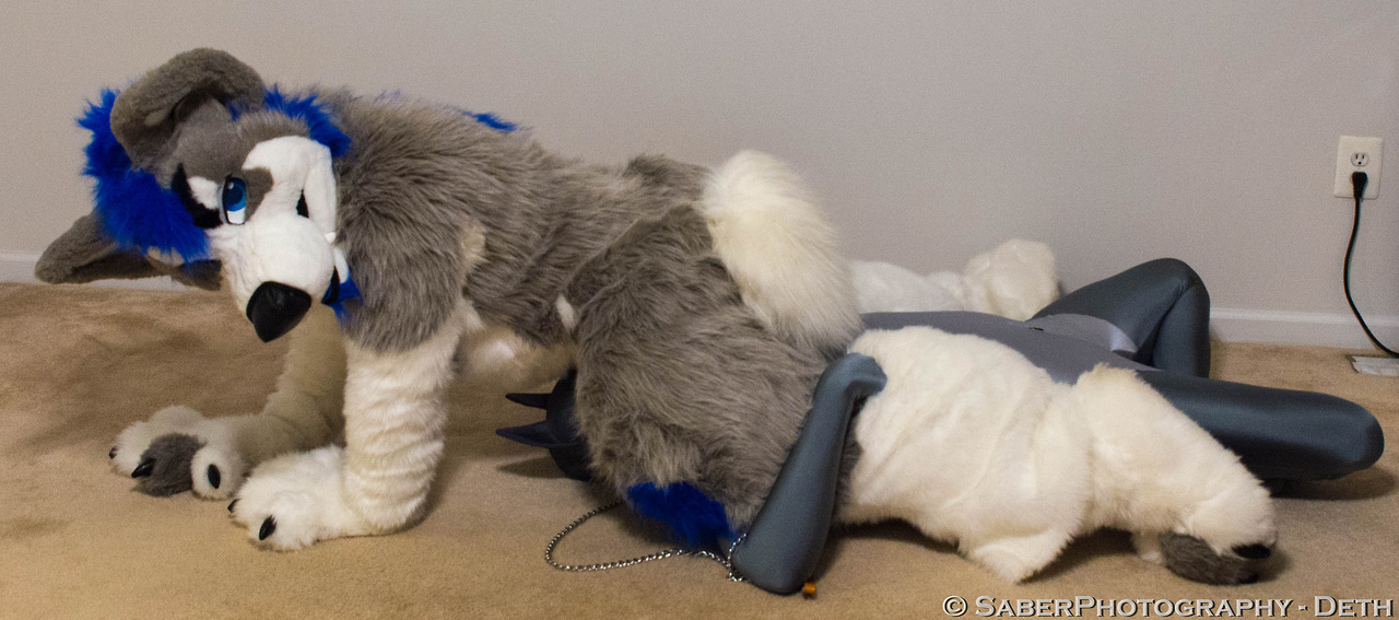 pupursus:Ursus had a great time with Keet this past weekend.   Photo credit: @TeefBeast