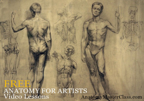 supersonicart: ANATOMY MASTER CLASS: Free Video Lessons.Anatomy Master Class is offering Supersonic 