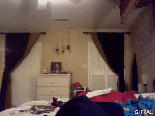 insomniatasteslikecottoncandy:  THIS IS WHY I CANT HAVE NICE THINGS. i cant stop