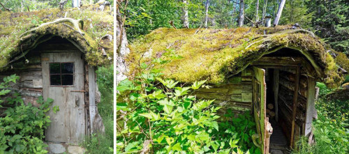 digitalramen:jeremylawson:Bella Coola CabinYou wouldn’t even know this tiny house is there! 