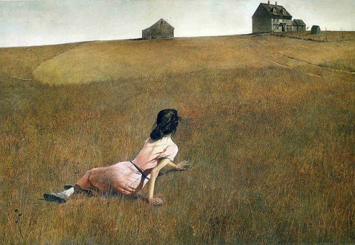 mel-thedaydreamer: *Christina’s World, Andrew Wyeth, 1948 *Tanja’s World, Noritoshi Hir