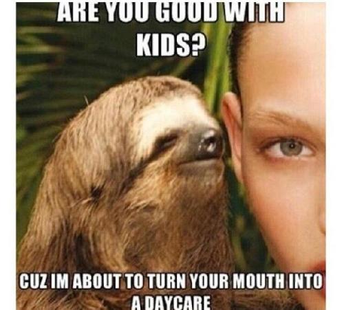 sloth meme