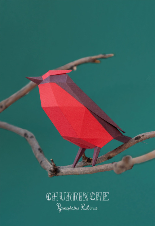 mayahan:  Paper Crafts by Estudio Guardabosques 