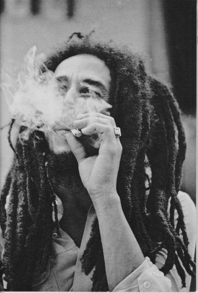 iwanna-rawr-u:  Marley ;)