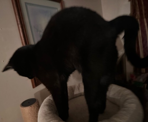 Egypt Says Rise & Shine & Get That Good Morning Stretch In Everyone!