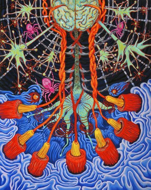 staceythinx:  Biologically inspired work by Shoshanah Dubiner 