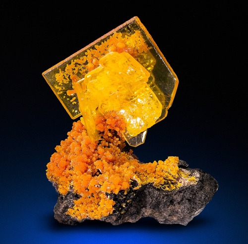 Wulfenite with Mimetite - San Francisco Mine, Cerro Prieto, Cucurpe, Sonora, MexicoSee it on vi