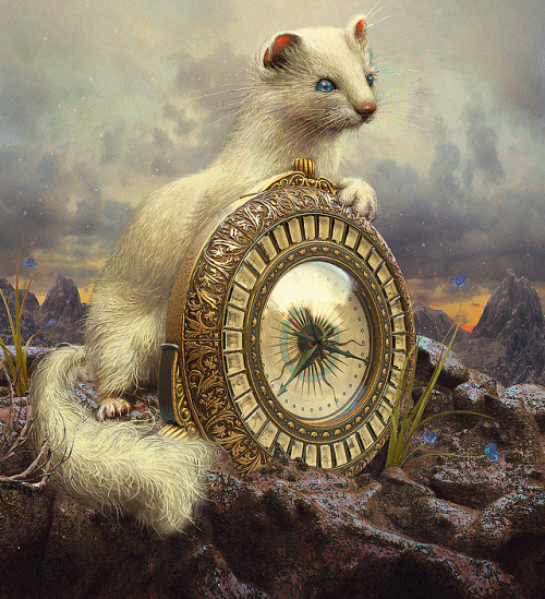 The Golden Compass by 25kartinok