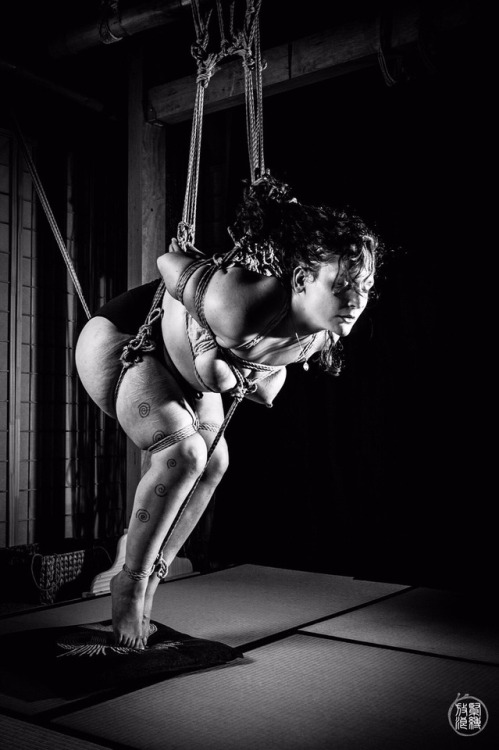 NOVA Nawa 8/16- tiptoe semenawa with bounddoll_(IG) Kinbaku/photo: me.