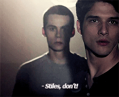 hobroseying:  Teen Wolf AU: Stallison  “Please, just let her go. I’ll do anything I- I’ll give you whatever you want just… just let her go, please!”   I’ll make myself clear now: I don’t want to ship Stalli- DAH. TOO LATE.NOW I’M