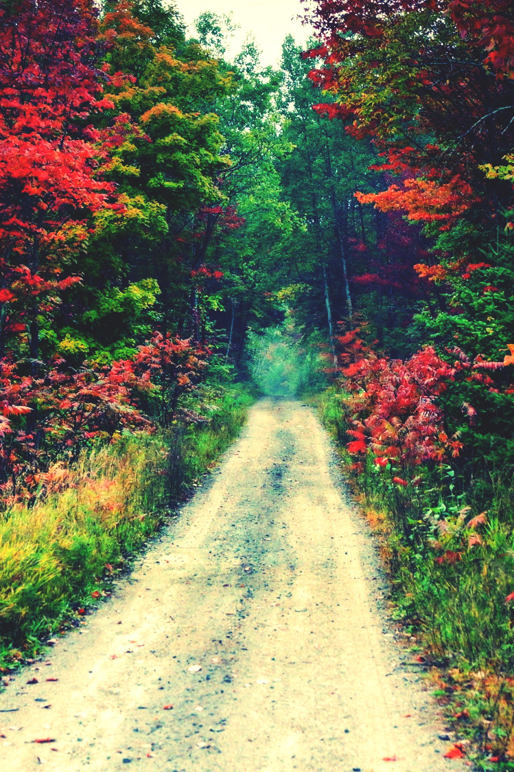 wavemotions:  The path to fall