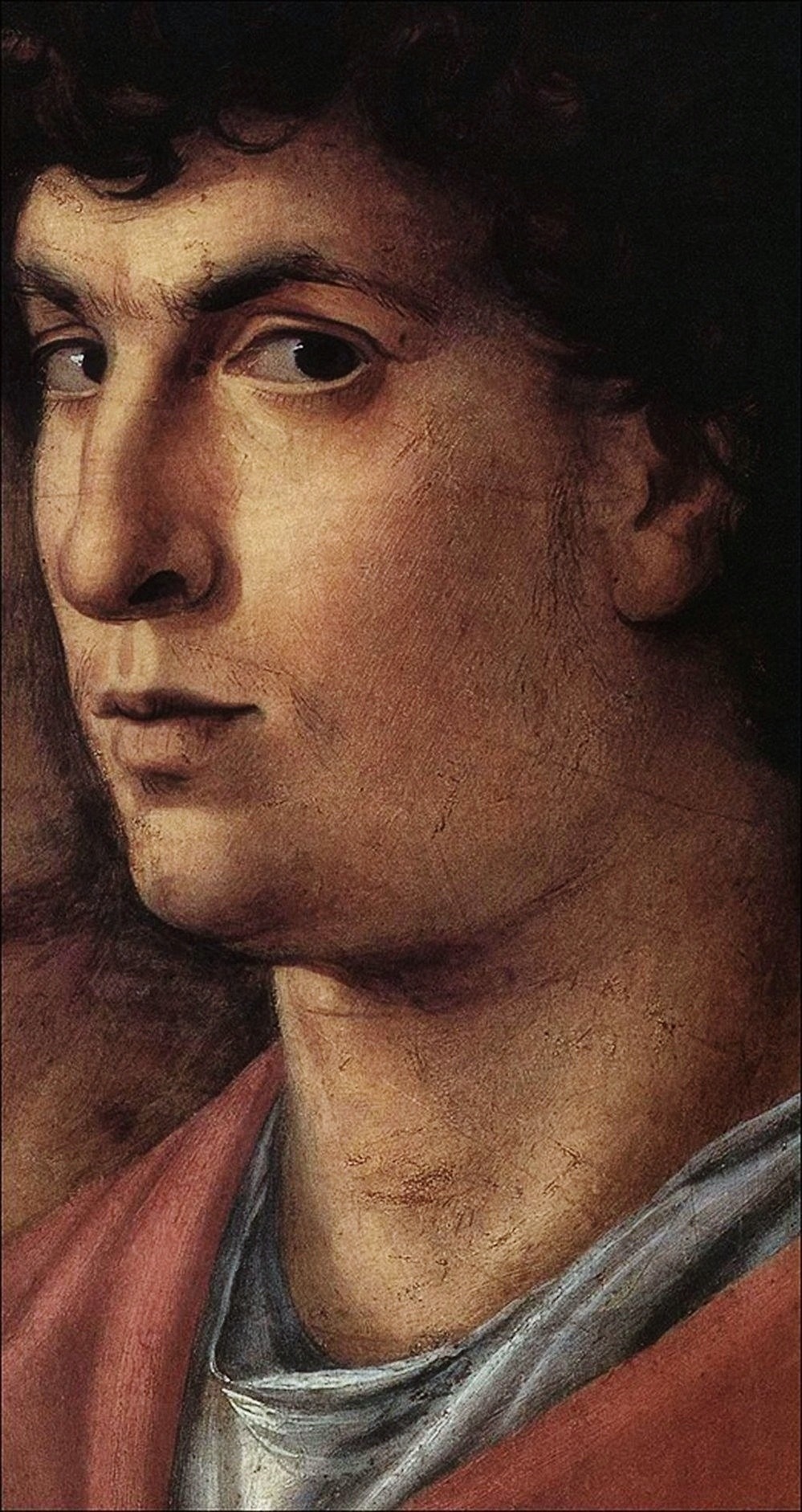 hadrian6:  Self Portrait. Detail from the “Presentation in the Temple”. 1460.
