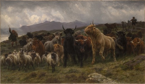 Highland Raid, Rosa Bonheur, 1860