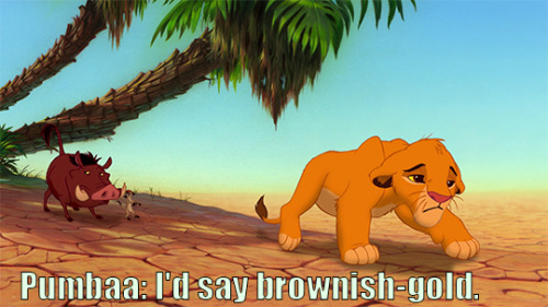 elionking: clubhousemouse: disneyismyescape: Is Simba actually a metaphor for The Dress? UGGGGHHHHHH