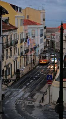 omeujardimabeiramarplantado:  Lisboa