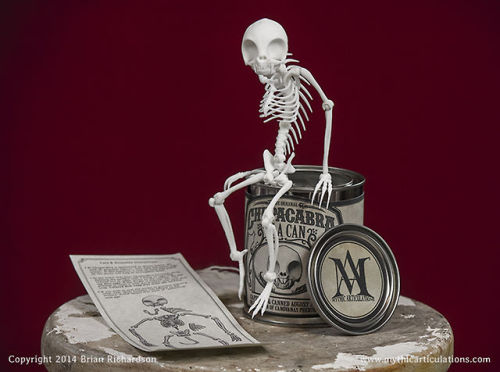 pichiinyan:  crystallized-liquid-liner:  mythicarticulations:  Announcing the original “Chupacabra in a Can”! This poseable Chupacabra skeleton is finally completed and up for sale! You can find it in our Etsy store.  man this is sick!!!!!!!  i need