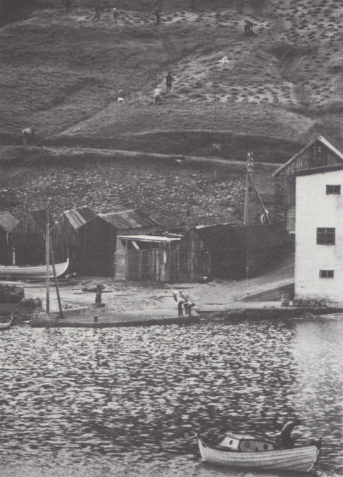 kymenymo: Traditional Knitting in the British Isles, 1981 Channel Island, Child’s Lerwick, Fla