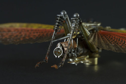 staceythinx:  MeCre (mechanical creatures) by Gaby Wormann 