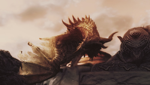 fisziskyrim: Paarthurnax, the old white dragon of Skyrim.