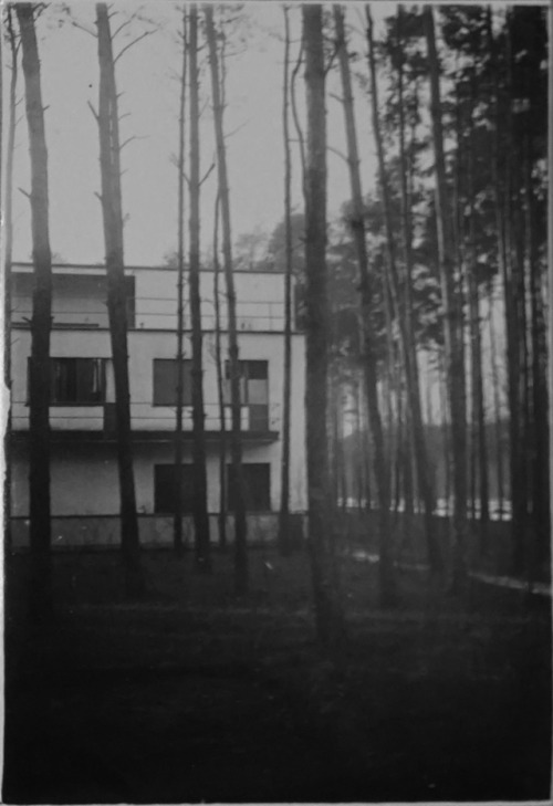 jonasgrossmann: t. lux feininger… meisterhäuser, burgkühnauer allee, bauhaus, dessau, 1929 @ kunst-a