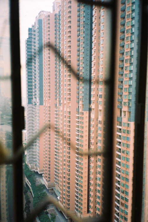 stored-snapshots: 寸土寸金 (by super_tina)