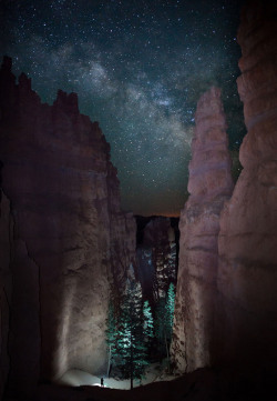 letsbuildahome-fr:  Smithsonian Magazine’s 2012 Photo Contest: “Exploring the Night” A lone hiker viewed the path before him as the Milky Way rose in the night sky above Bryce Canyon National Park, Utah. Taken by Jason Hatfield, Lakewood, Colorado,