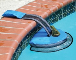 vampireapologist:  suffybummers:  red-faced-wolf:  southernsideofme: Frog Log  WHAT A GOOD IDEA   @vampireapologist  these make me so so happy! Everyone should have these in the pools! 