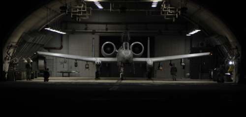 XXX titanium-rain: An A-10 Thunderbolt II sits photo