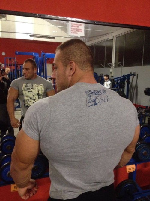 hardbulls:  Wesley Gasparotto