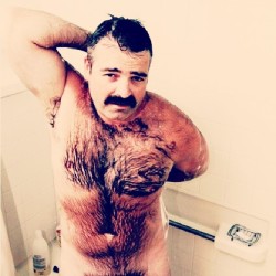 seduccionbear:  Bear #daddy #bear #gay #men