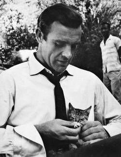  Sean Connery playing with a kitten on the