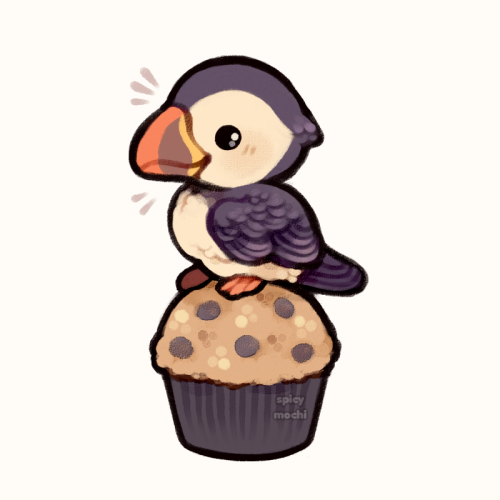 puffin muffin