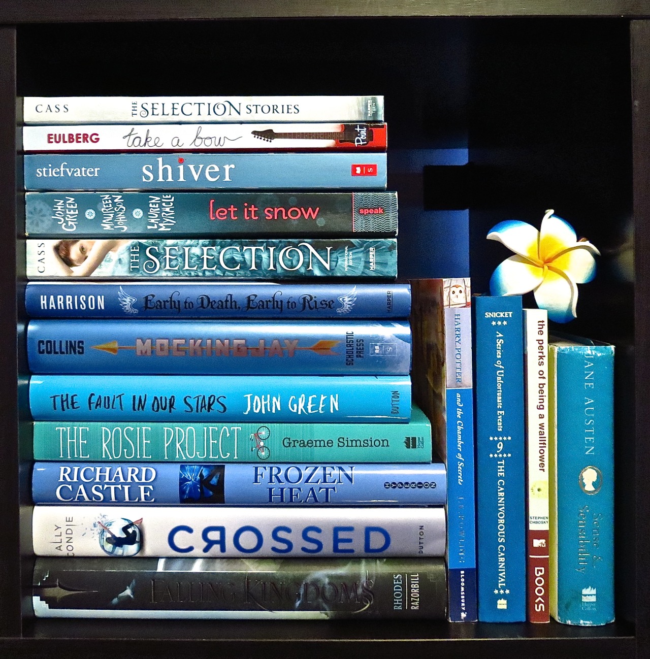 books-on-the-brain:  Amateur Book Photography: Blue.   Hold on, Richard Castle is