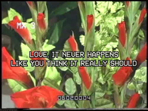 love yourself