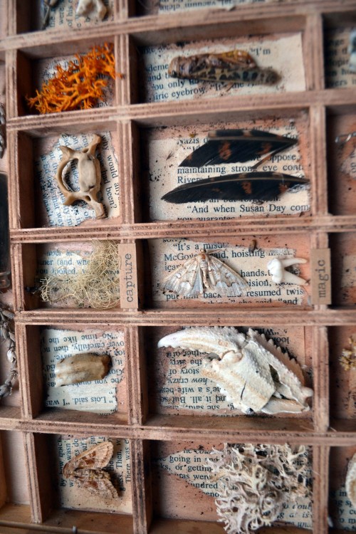 forestferncreations:  amslammin:  wolftea:  A little box filled with various finding I’ve made while with my husband… created after about a year or so of being together this little case included lichens from our woodland adventures, claws from our