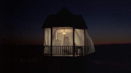 Days of Heaven, directed by Terence Malick (1979)