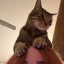 fallingforbaylee