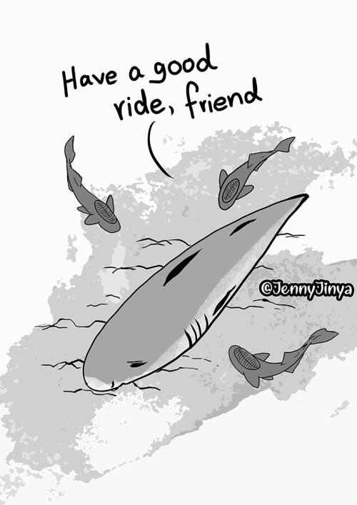 CW: animal abuse, animal deathPlease help ending the shark fin trade for good!EU-petition: https://w