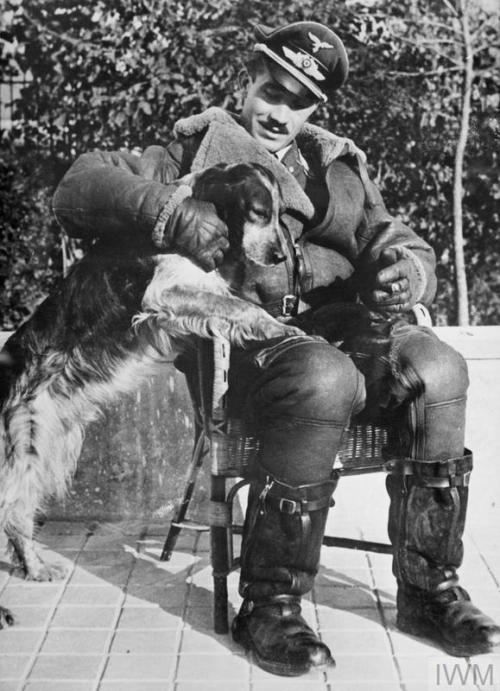 Major Adolf Galland, Geschwaderkommodore of Jagdgeschwader 26, sitswith his dog Schweinebauch in Aud