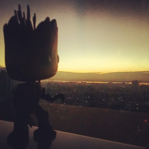 TGIF!!! And What A Beautiful Friday Morning We Have! It May Be Friday The 13th Today, But Groot's Been