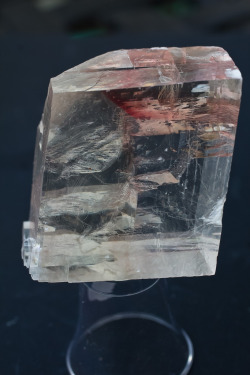 themineralogist:  Unusual Included Calcite from India (by Jake Slagle)