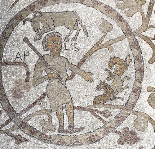 italian-landscapes:Mosaici della Cattedrale di Otranto, Puglia (Otranto Cathedral Mosaics, Apulia), 